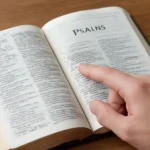 como buscar el salmo 91 en la biblia